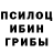 Псилоцибиновые грибы ЛСД Sarah Reyburn