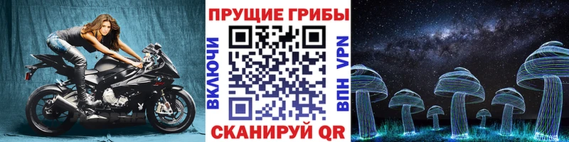 как найти наркотики Болгар Галлюциногенные грибы Magic Shrooms